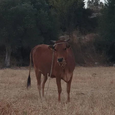 Hébergement de vacances Christothea *