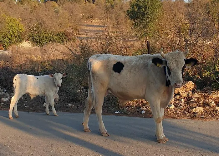 Christothea Prázdninový dům