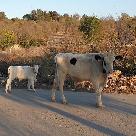 Christothea Дом отдыха