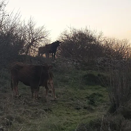 Дом отдыха Christothea *