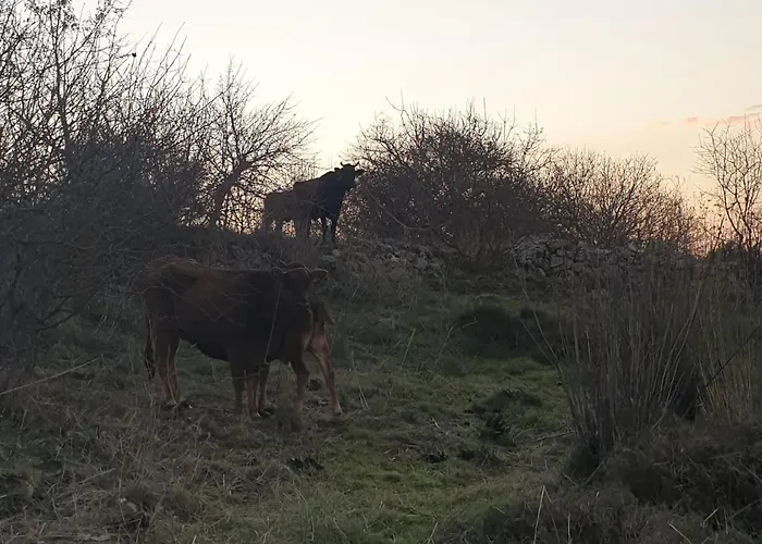 別荘 Christothea *