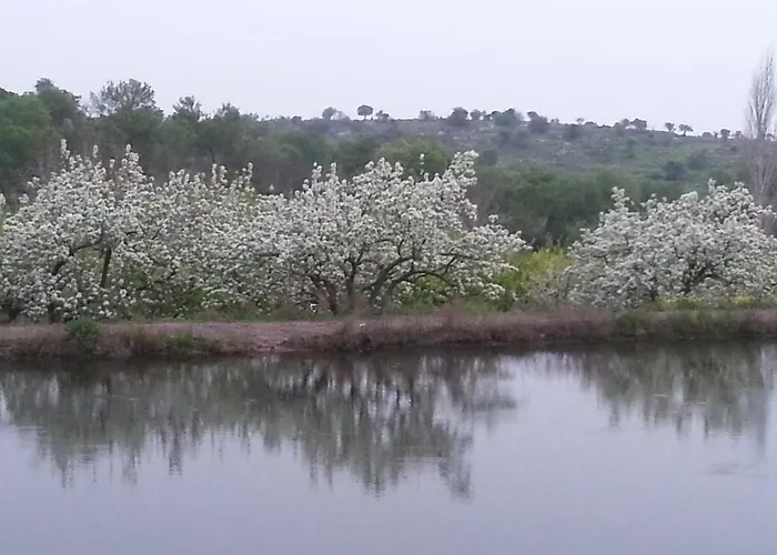 Christothea Σπίτι διακοπών Λάσα